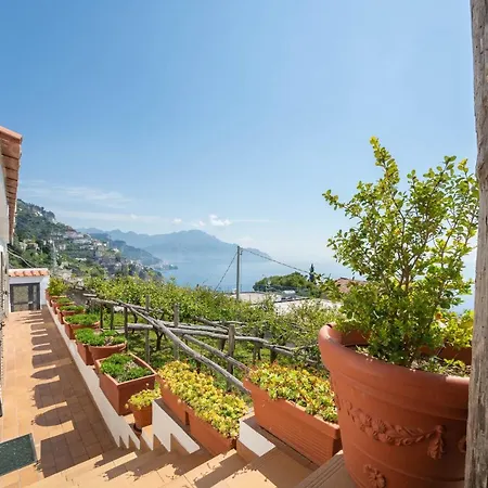 Petra Hotel 4*